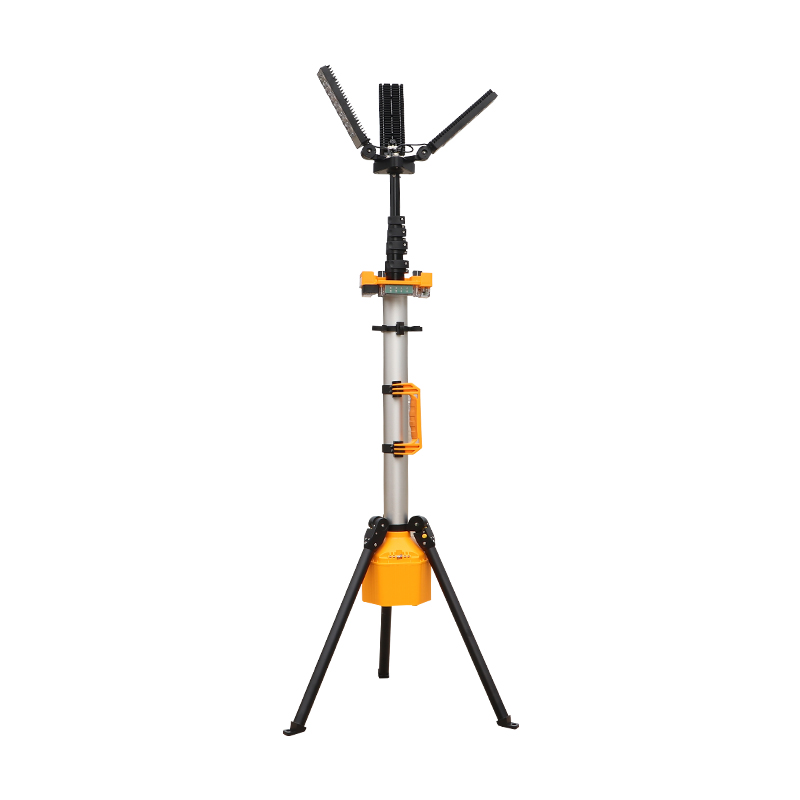 FW6129